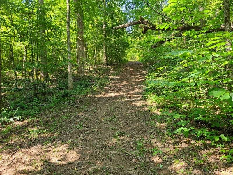 Tbd Tomlinson Road Victoria, VA 23974 - Photo 28 of 50 a view of outdoor space and trees