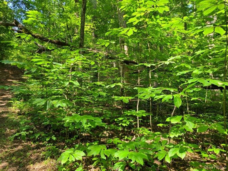 Tbd Tomlinson Road Victoria, VA 23974 - Photo 29 of 50 a backyard of a house