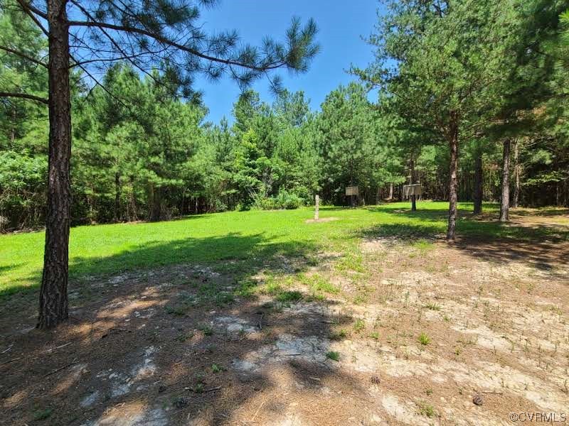 Tbd Tomlinson Road Victoria, VA 23974 - Photo 32 of 50 a view of a park with large trees