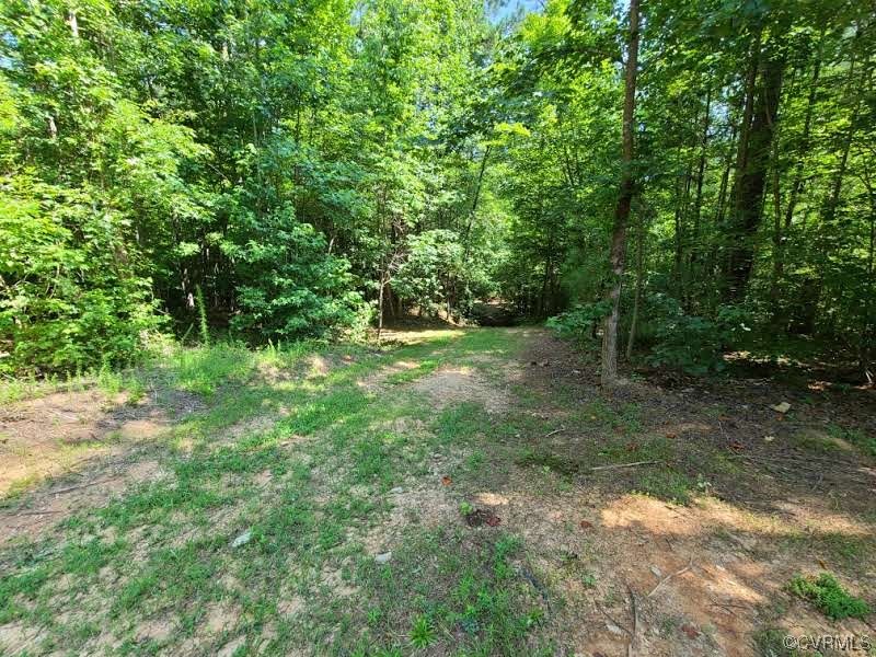 Tbd Tomlinson Road Victoria, VA 23974 - Photo 34 of 50 a big yard with lots of green space and deers