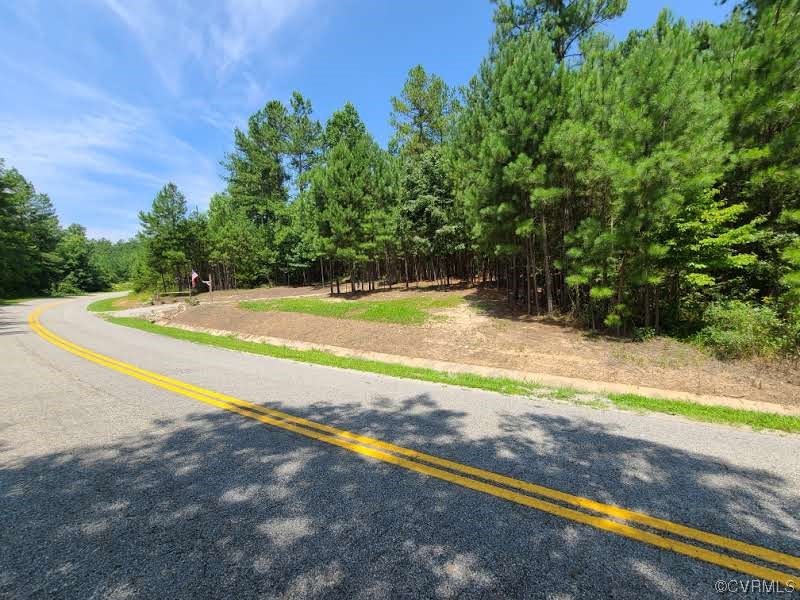 Tbd Tomlinson Road Victoria, VA 23974 - Photo 45 of 50 a view of a yard with a large trees