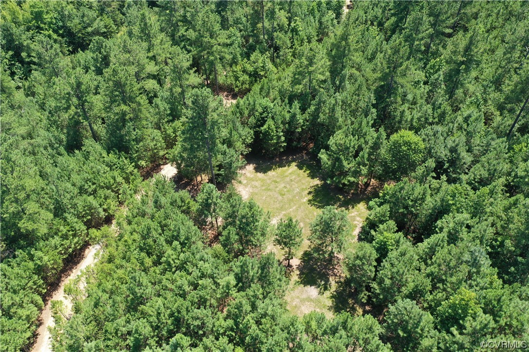 Tbd Tomlinson Road Victoria, VA 23974 - Photo 49 of 50 a view of a lush green forest