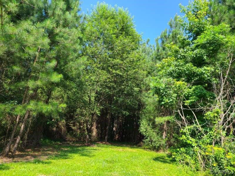 Tbd Tomlinson Road Victoria, VA 23974 - Photo 5 of 50 a view of backyard with green space