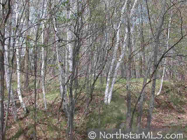16223 West Miller Road Hayward, WI 54843 - Photo 10 of 10 Gallery Image 10