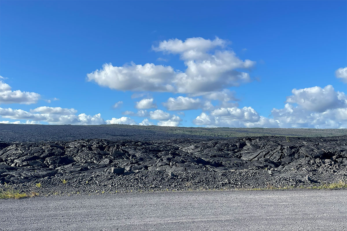 67 A Chain Of Craters Road Pahoa, HI 96778 - Photo 14 of 16 a view of a wooden floor