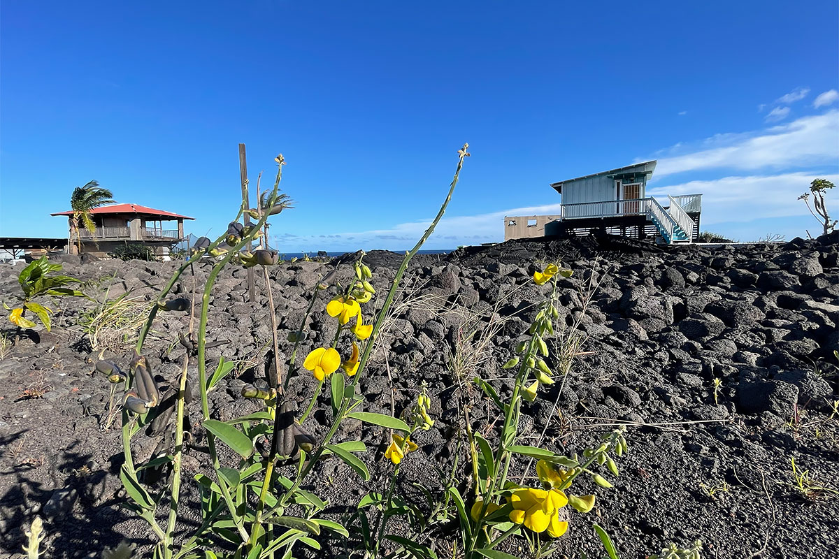 67 A Chain Of Craters Road Pahoa, HI 96778 - Photo 8 of 16 a view of a back yard