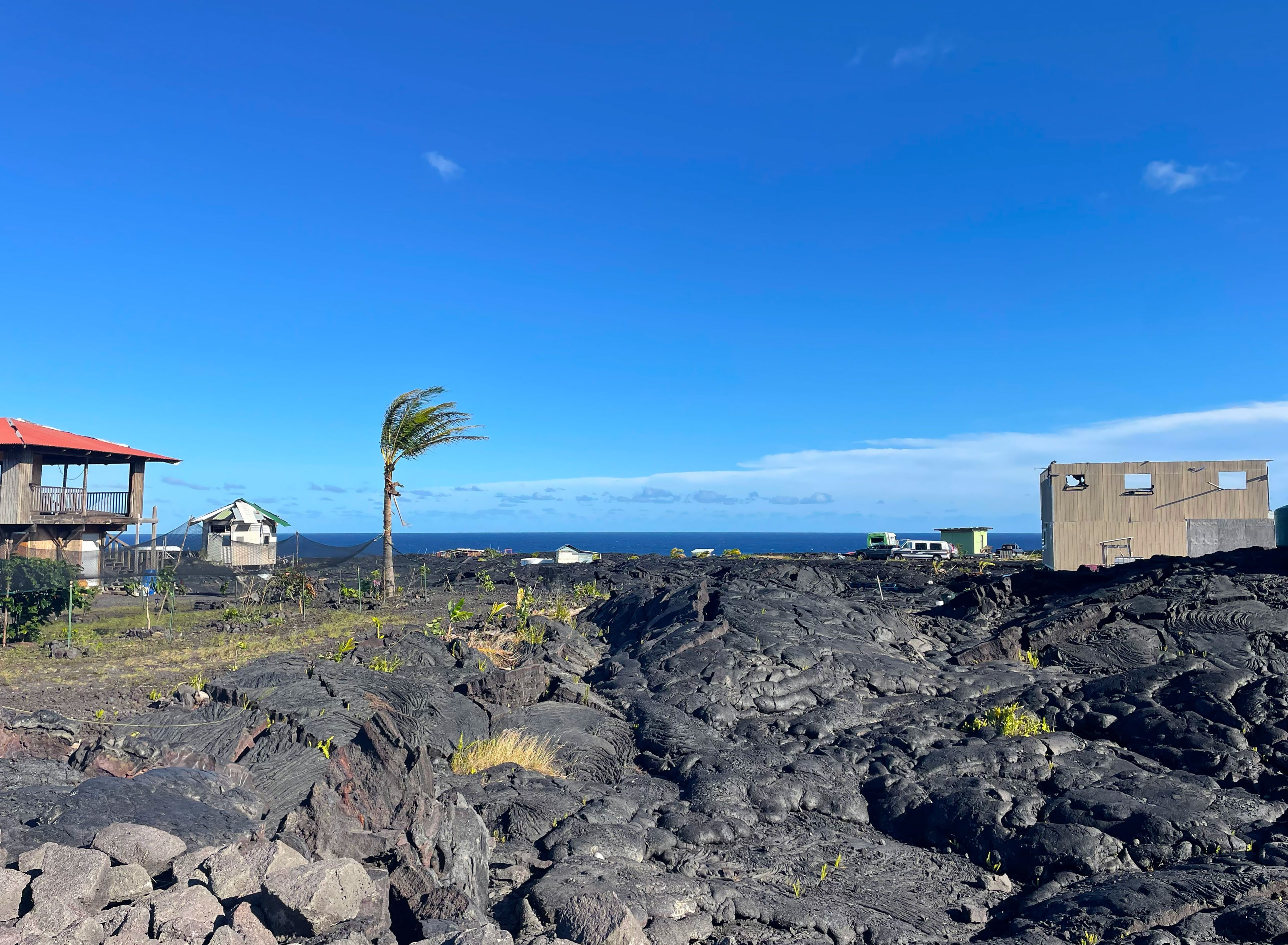 67 A Chain Of Craters Road Pahoa, HI 96778 - Photo 9 of 16 a view of a dry yard with lots of trees