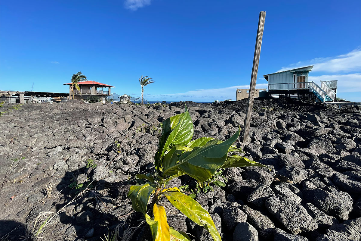 67 A Chain Of Craters Road Pahoa, HI 96778 - Photo 10 of 16 a view of a parking area