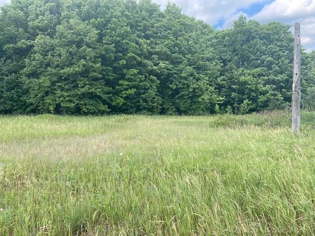 2724 West County Road Grayling, MI 49738 - Photo 39 of 43