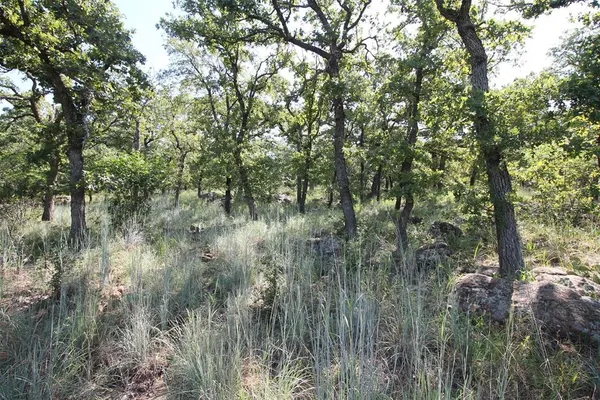 $50,000 | Lot 265 Ridgeline Drive, Chico, TX 76431