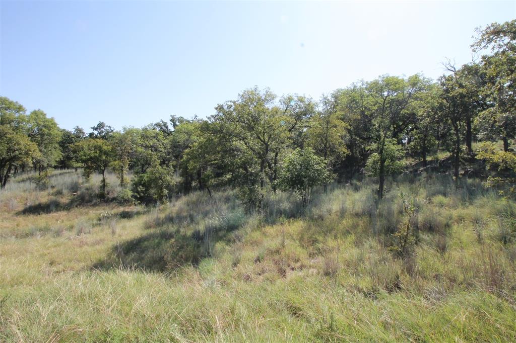 Lot 265 Ridgeline Drive Chico, TX 76431 - Photo 3 of 16
