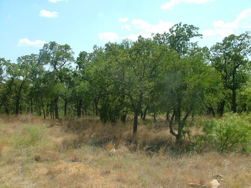 Lot 265 Ridgeline Drive Chico, TX 76431 - Photo 7 of 16