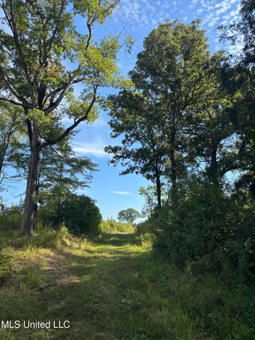 $270,000 | Ebenezer-coxburg Rd Lexington Ms 39095, Lexington, MS 39095