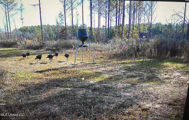 $270,000 | Ebenezer-coxburg Rd Lexington Ms 39095, Lexington, MS 39095