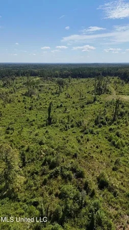 $270,000 | Ebenezer-coxburg Rd Lexington Ms 39095, Lexington, MS 39095