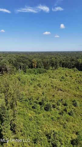 $270,000 | Ebenezer-coxburg Rd Lexington Ms 39095, Lexington, MS 39095