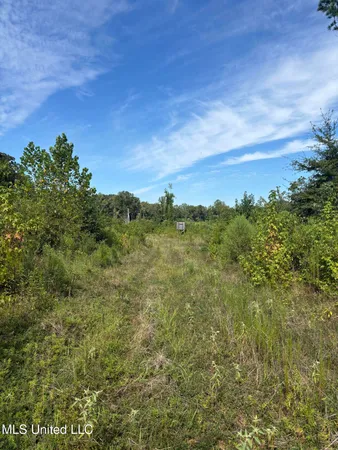 $270,000 | Ebenezer-coxburg Rd Lexington Ms 39095, Lexington, MS 39095