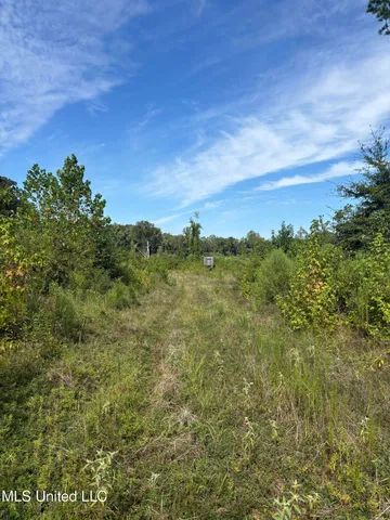 $270,000 | Ebenezer-coxburg Rd Lexington Ms 39095, Lexington, MS 39095