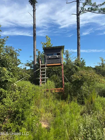 $270,000 | Ebenezer-coxburg Rd Lexington Ms 39095, Lexington, MS 39095