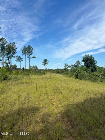 $270,000 | Ebenezer-coxburg Rd Lexington Ms 39095, Lexington, MS 39095