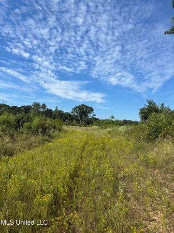 $270,000 | Ebenezer-coxburg Rd Lexington Ms 39095, Lexington, MS 39095