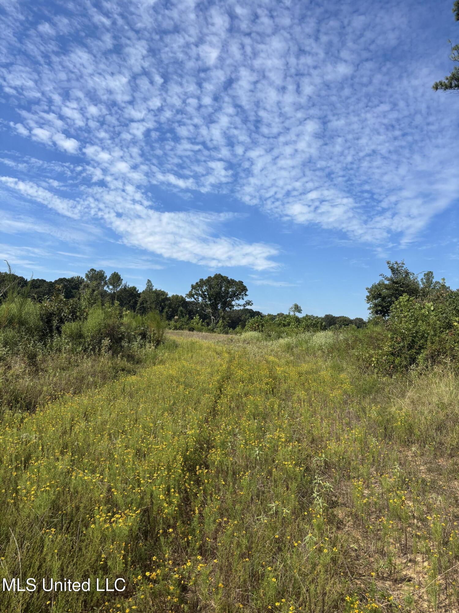 Ebenezer-coxburg Rd Lexington Ms 39095 Lexington, MS 39095 - Photo 5 of 13 IMG_1720