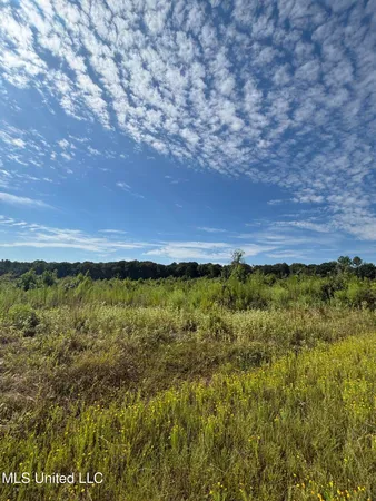$270,000 | Ebenezer-coxburg Rd Lexington Ms 39095, Lexington, MS 39095