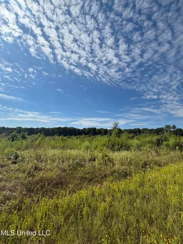 $270,000 | Ebenezer-coxburg Rd Lexington Ms 39095, Lexington, MS 39095