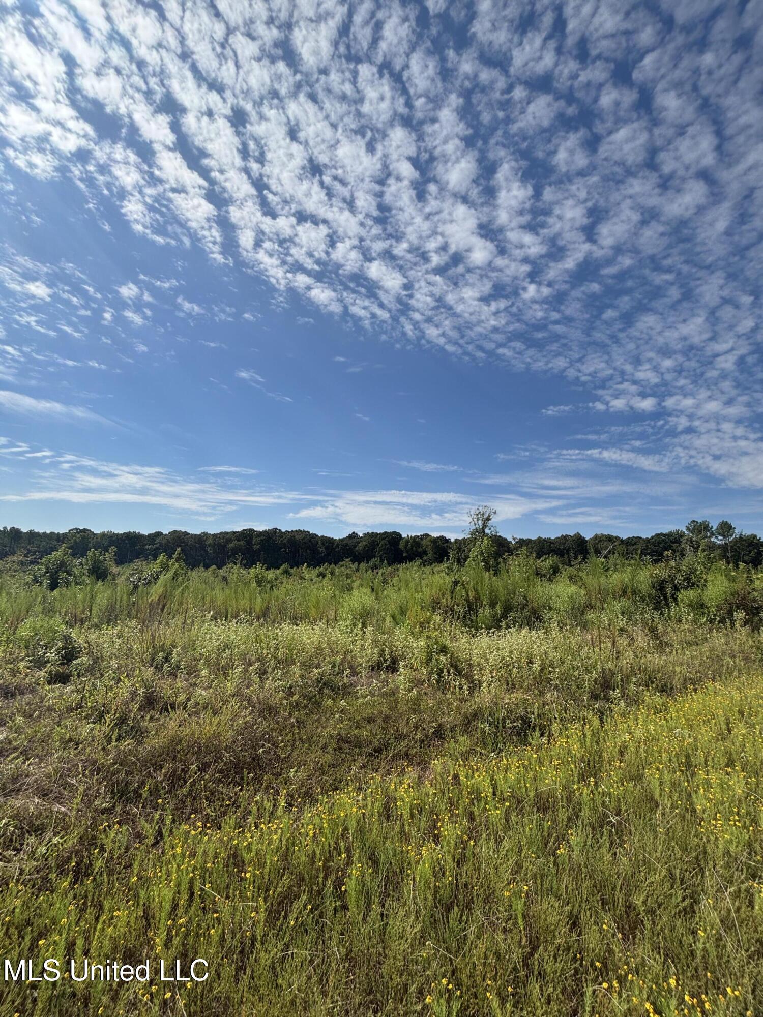 Ebenezer-coxburg Rd Lexington Ms 39095 Lexington, MS 39095 - Photo 6 of 13 IMG_1721