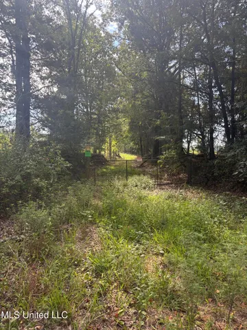 $270,000 | Ebenezer-coxburg Rd Lexington Ms 39095, Lexington, MS 39095