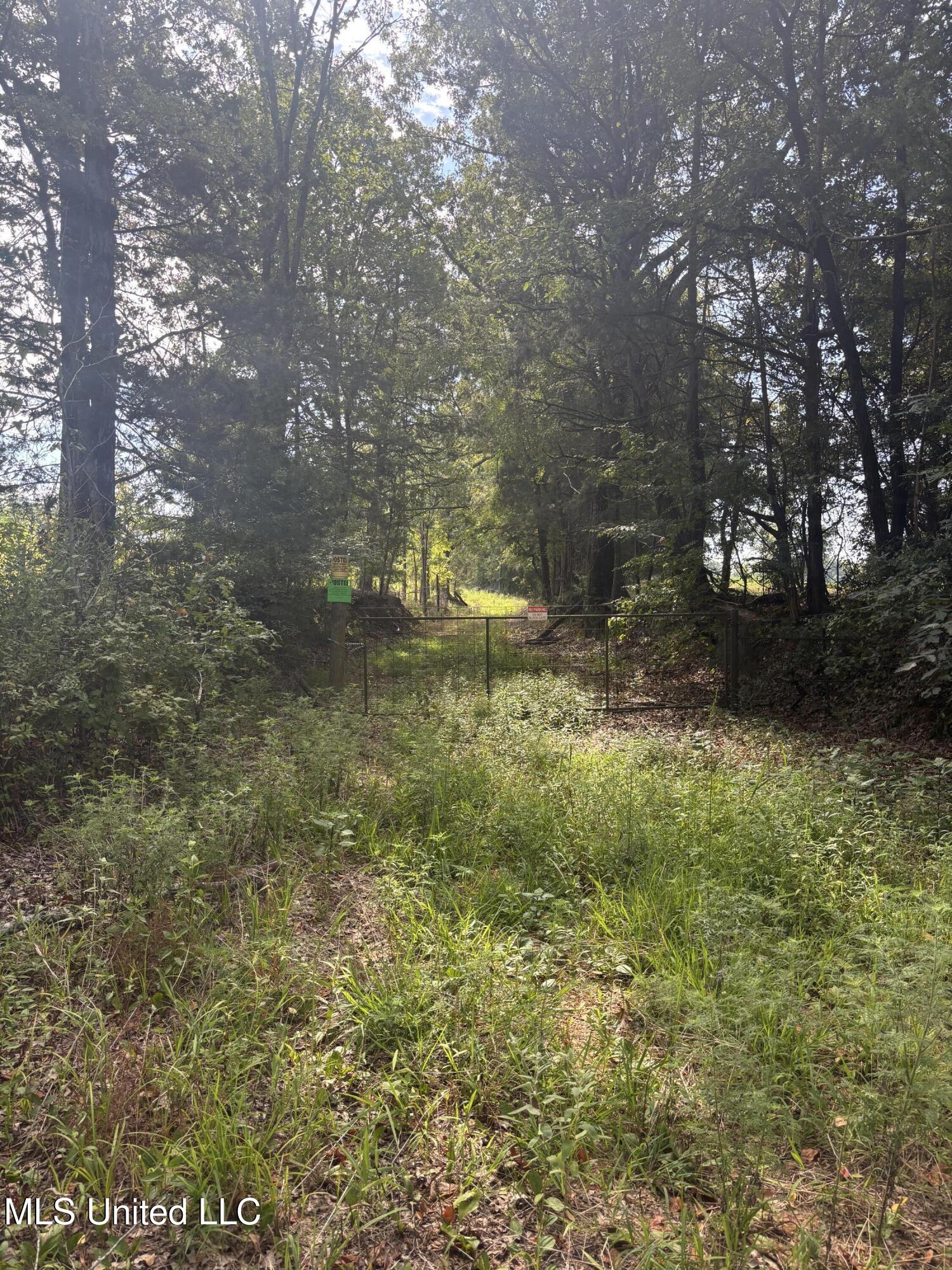 Ebenezer-coxburg Rd Lexington Ms 39095 Lexington, MS 39095 - Photo 7 of 13 IMG_1715