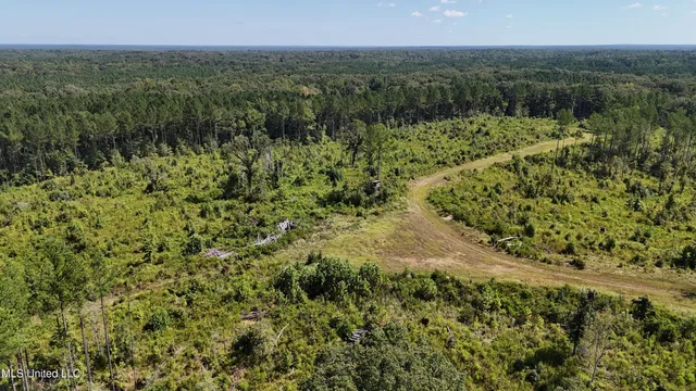 $270,000 | Ebenezer-coxburg Rd Lexington Ms 39095, Lexington, MS 39095