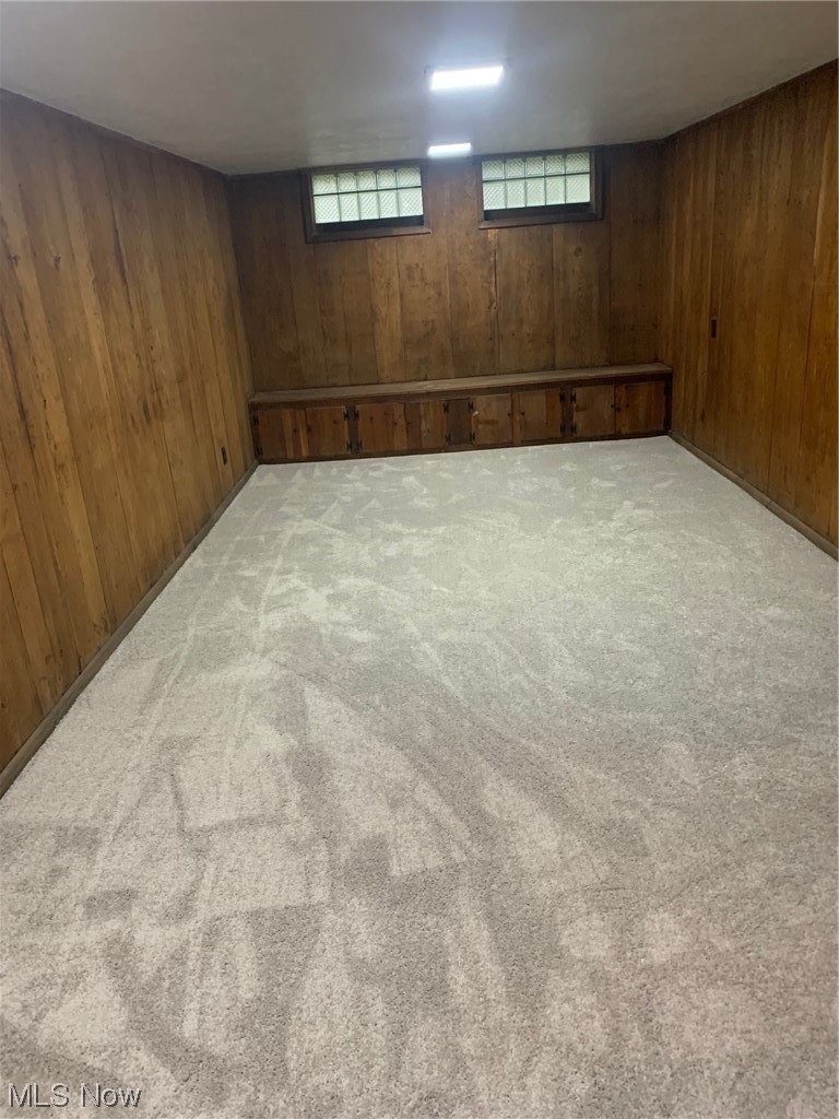 1456 Evanston Road Lyndhurst, OH 44124 - Photo 24 of 32 Basement featuring wood walls and light carpet