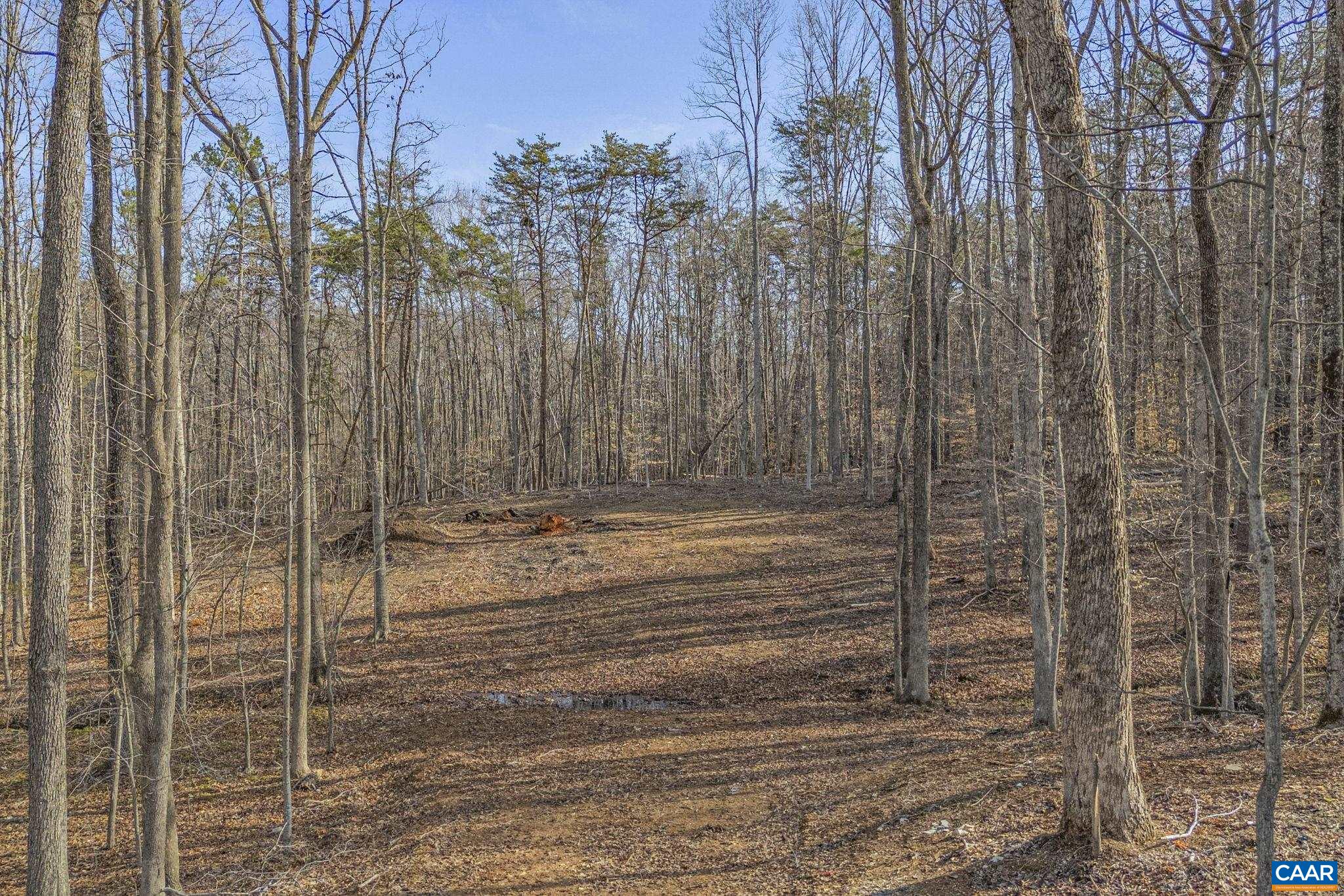 Lot B Lake Road Troy, VA 22974 - Photo 18 of 34 Gallery Image 18