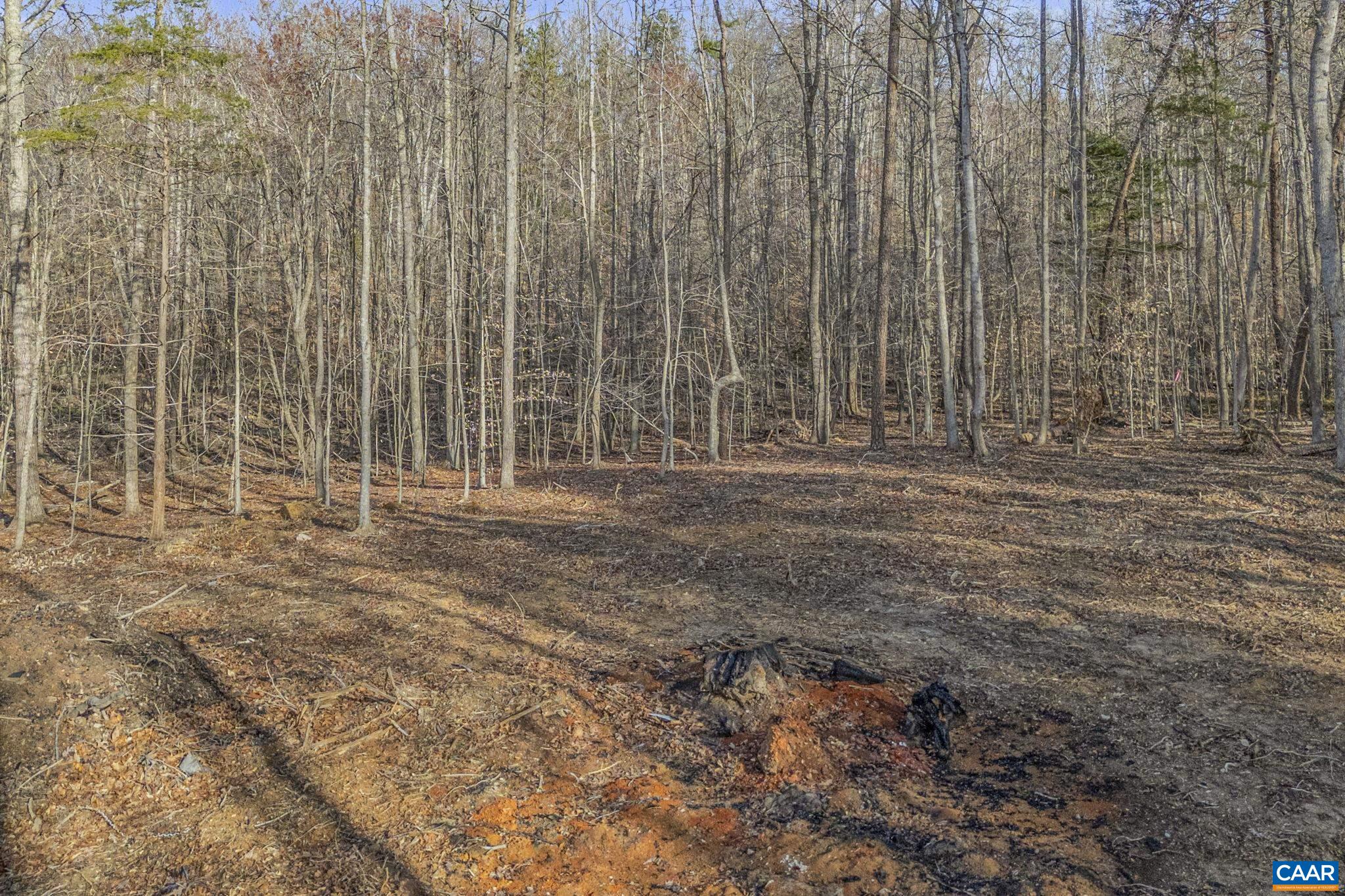 Lot B Lake Road Troy, VA 22974 - Photo 21 of 34 Gallery Image 21