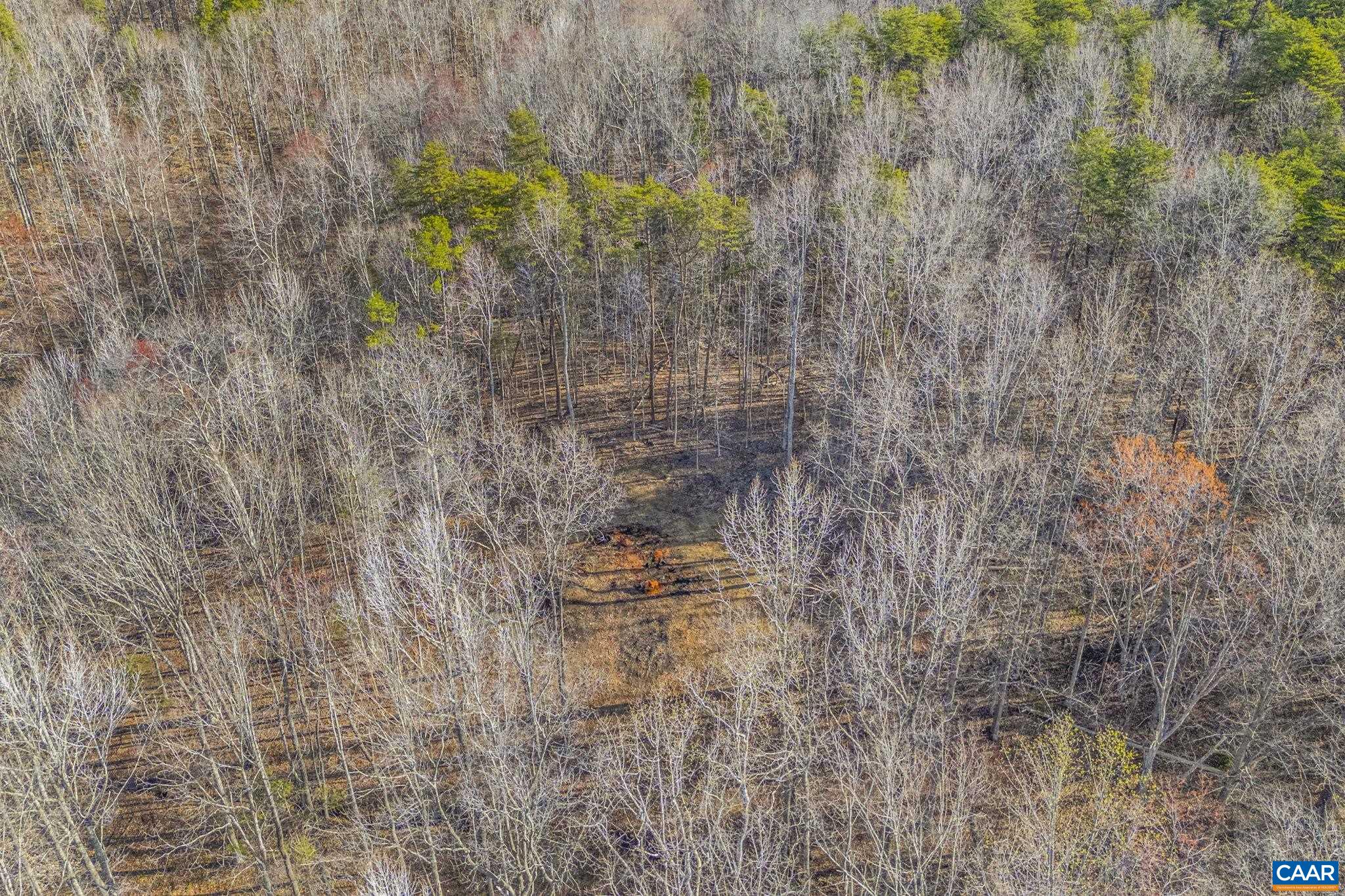 Lot B Lake Road Troy, VA 22974 - Photo 23 of 34 Gallery Image 23