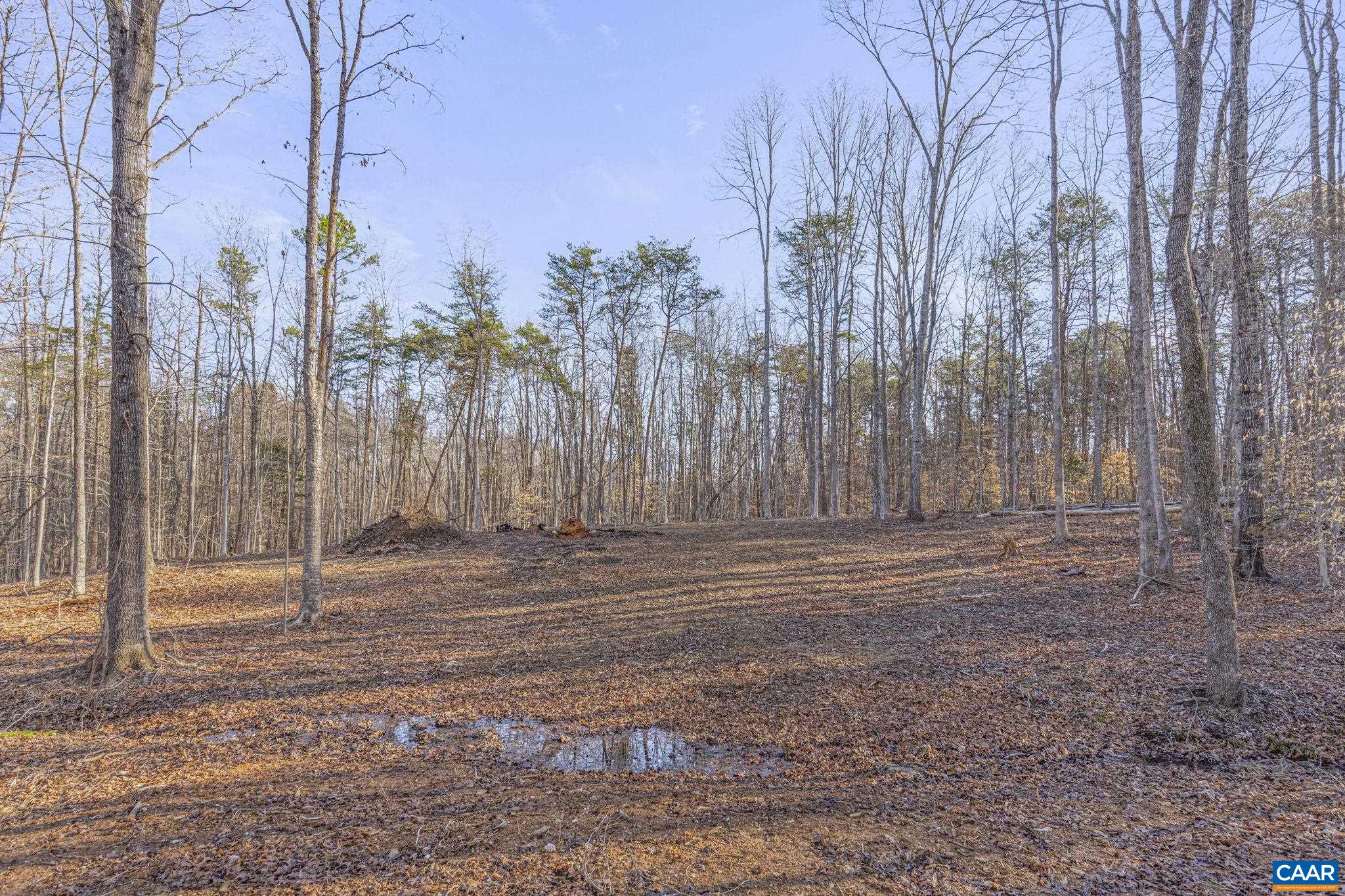 Lot B Lake Road Troy, VA 22974 - Photo 25 of 34 Gallery Image 25