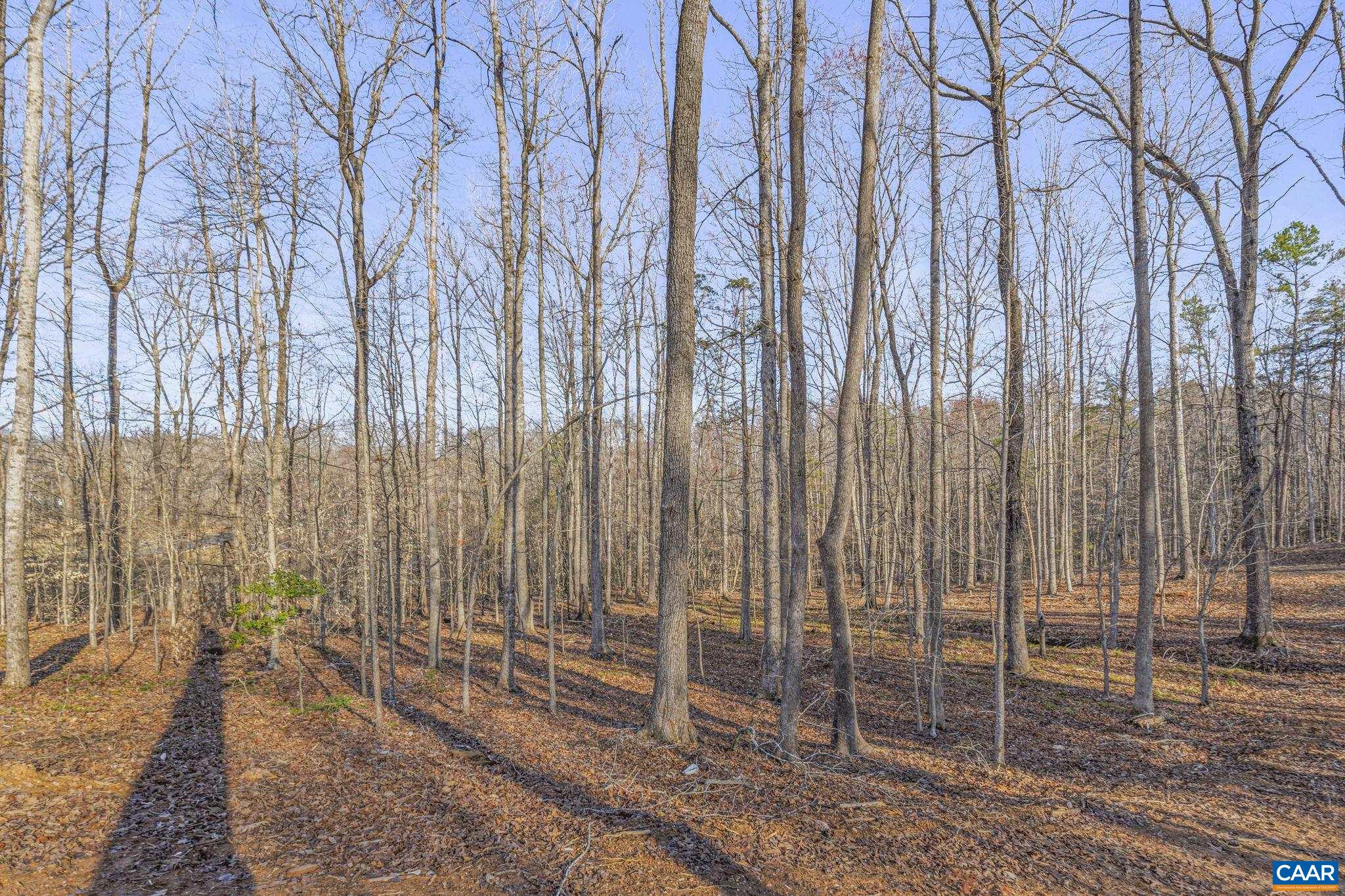 Lot B Lake Road Troy, VA 22974 - Photo 26 of 34 Gallery Image 26