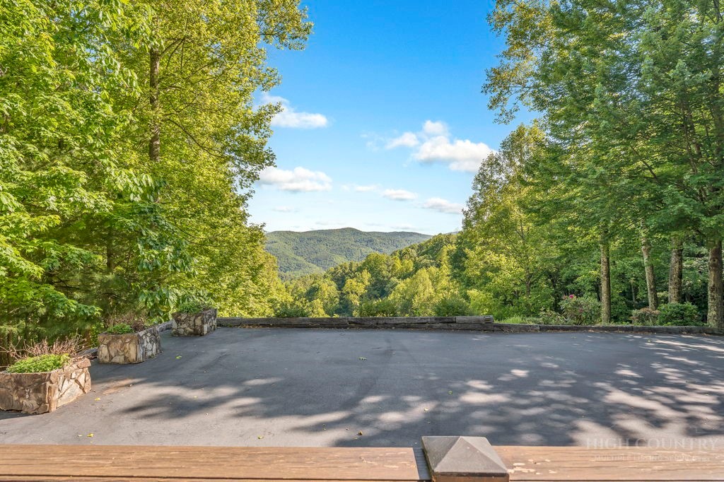 2229 Elk Ridge Road Ferguson, NC 28624 - Photo 5 of 42 a view of a yard