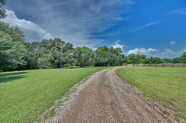 a view of a park with plants and trees