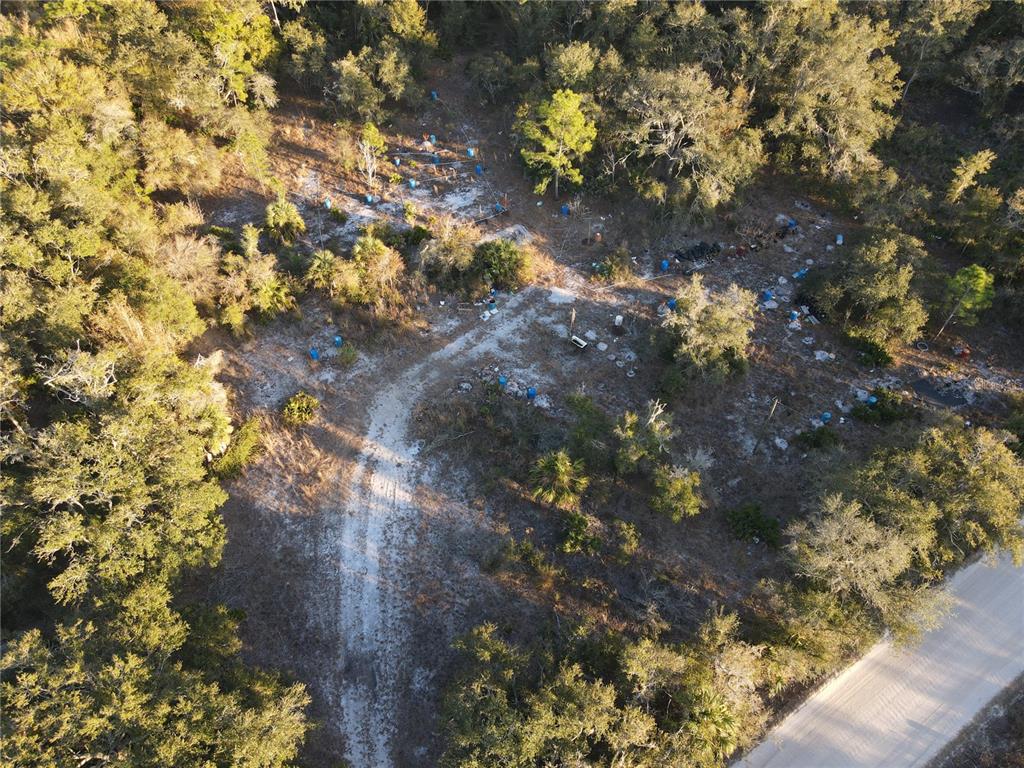 14420 Highland Road Wimauma, FL 33598 - Photo 12 of 19 a view of a tree