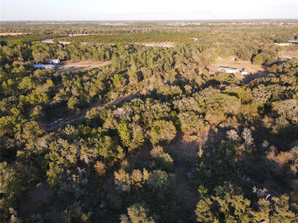 14420 Highland Road Wimauma, FL 33598 - Photo 16 of 19 an aerial view of town and residential houses with trees