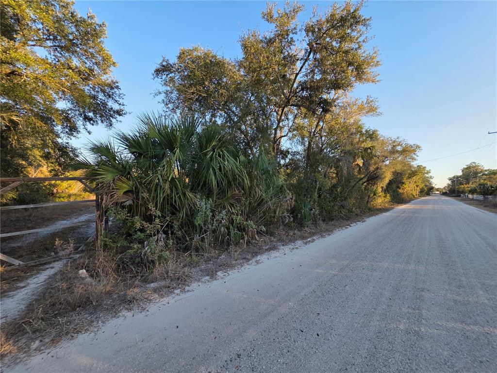 14420 Highland Road Wimauma, FL 33598 - Photo 3 of 19 a view of a dirt road with plants and trees