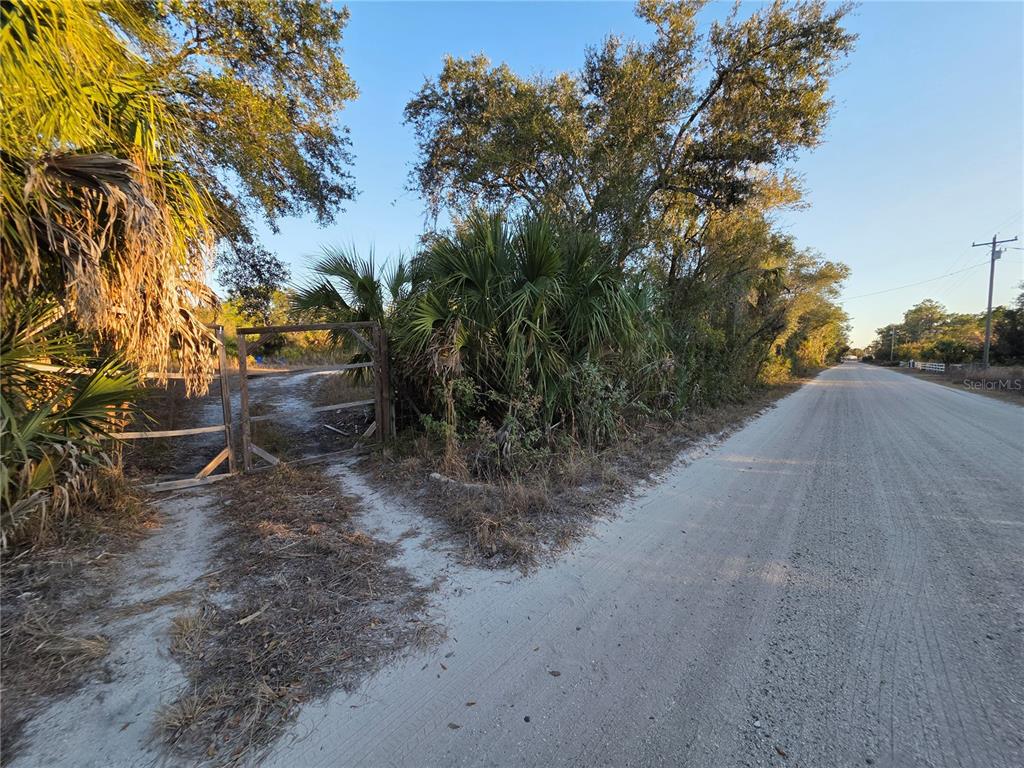 14420 Highland Road Wimauma, FL 33598 - Photo 4 of 19 a view of a dry yard with trees