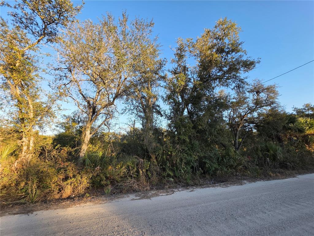 14420 Highland Road Wimauma, FL 33598 - Photo 5 of 19 a view of a forest with trees