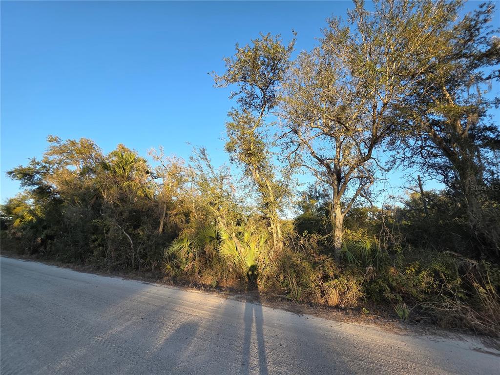 14420 Highland Road Wimauma, FL 33598 - Photo 6 of 19 a backyard of a house with large trees