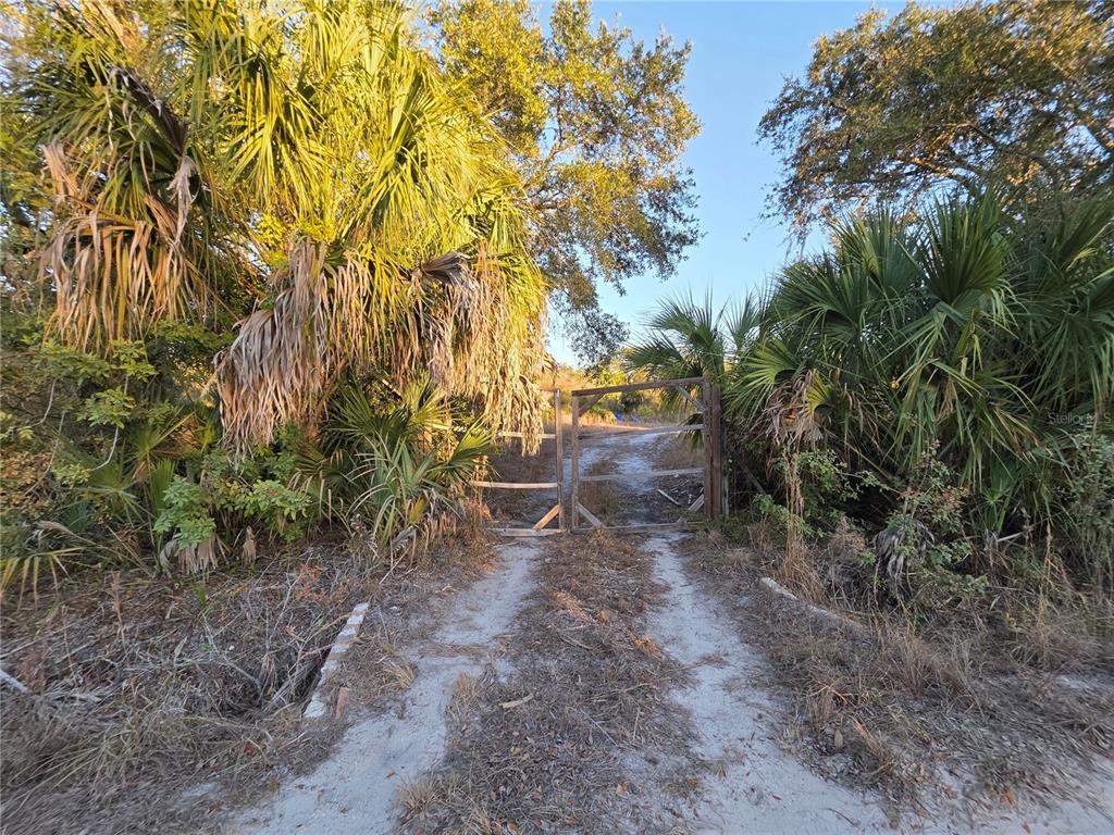 14420 Highland Road Wimauma, FL 33598 - Photo 8 of 19 a view of a forest with trees in the background