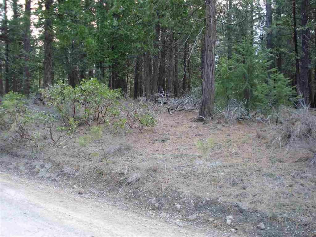 595 C Road Clio, CA 96106 - Photo 5 of 12