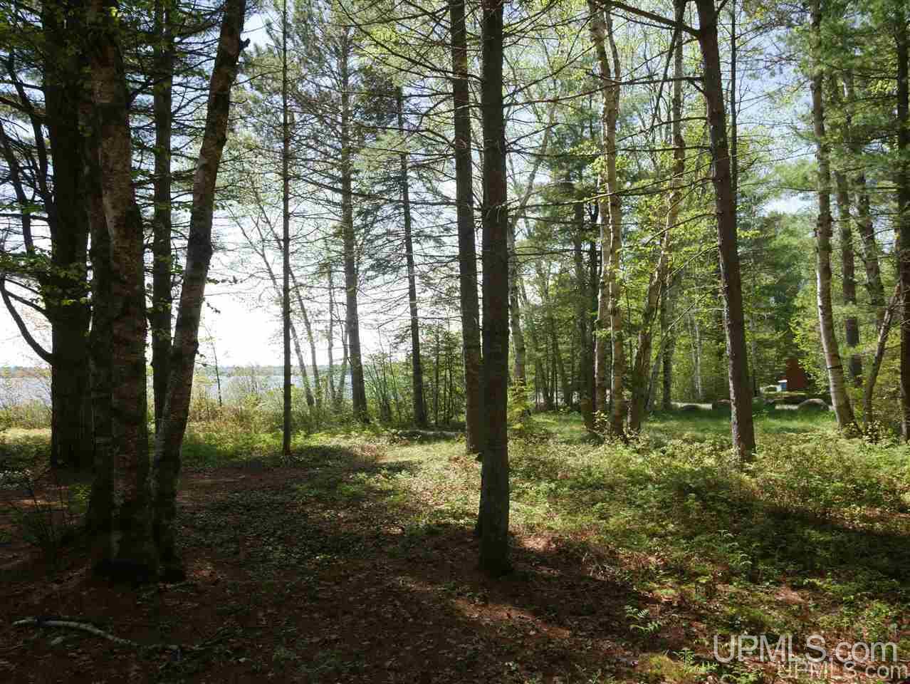 33985 Rice Landing Rd Lake Lake Linden, MI 49945 - Photo 19 of 30