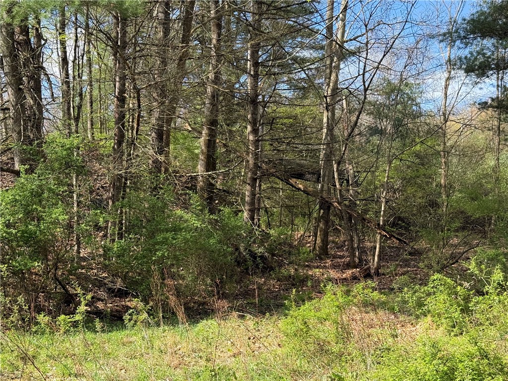9155 Smith Road Lindley, NY 14870 - Photo 16 of 33